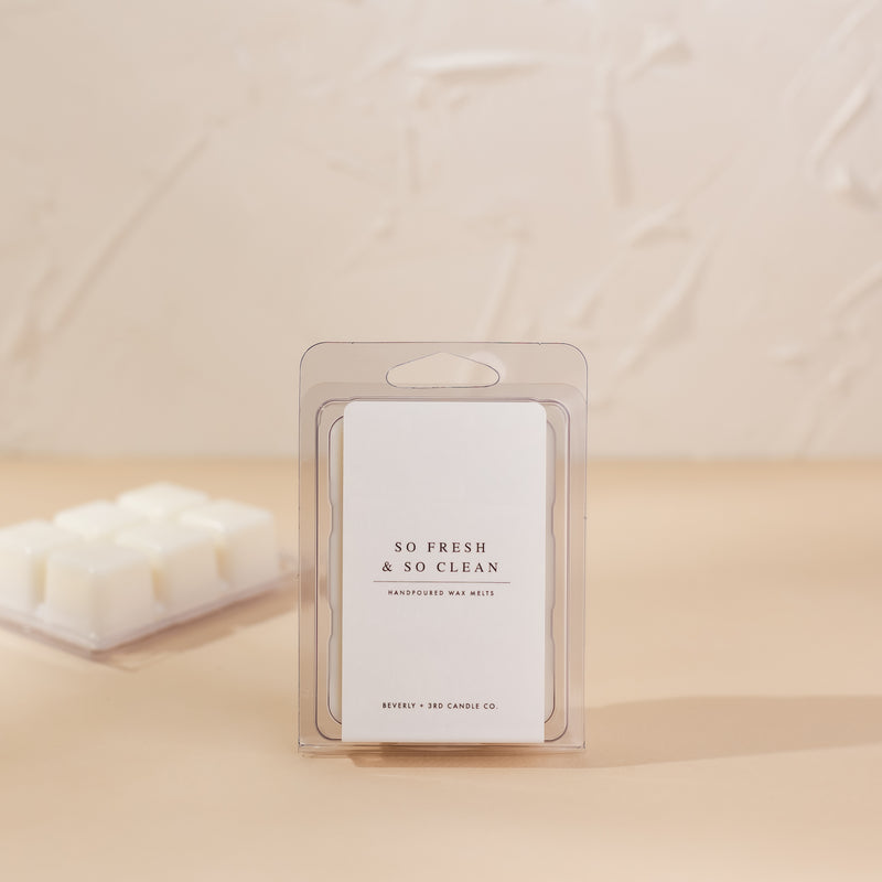 So Fresh & So Clean Soy Wax Melt